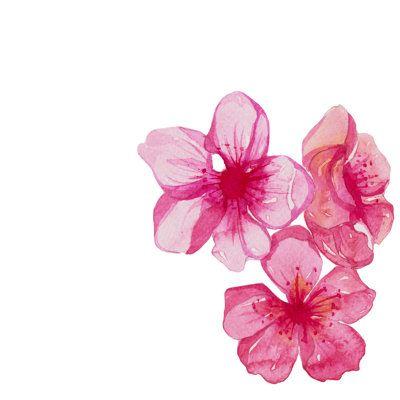 Twilight Serenity: Elegant Evening Blooms