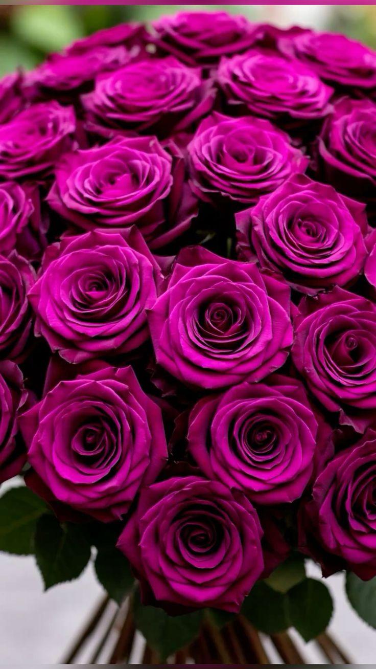 Whimsical Wonders: Playful Petals Medley