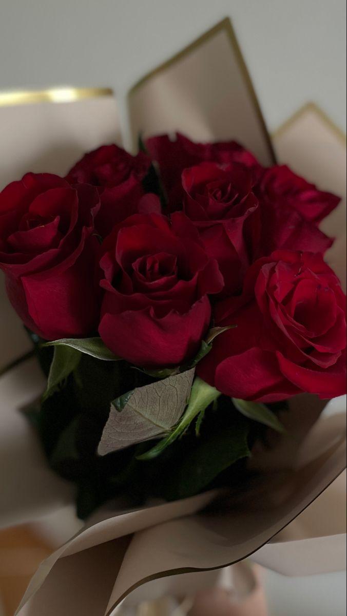 Eternal Embrace: Timeless Roses Delight
